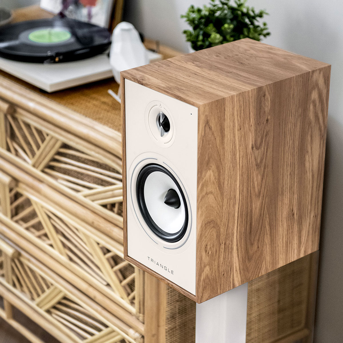 Borea Active BR03 BT - Bluetooth Regallautsprecher